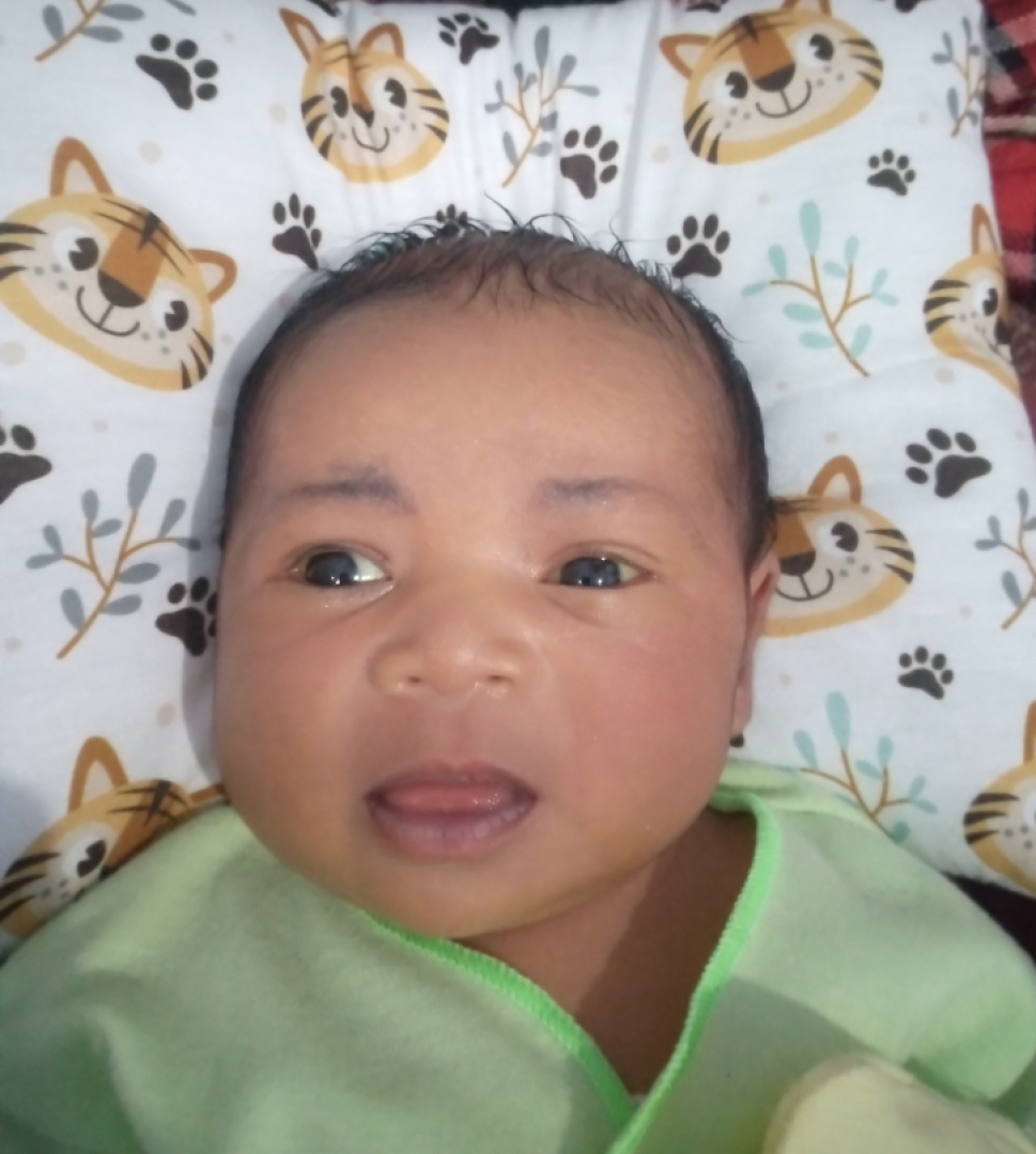 https://andrian-nadya.diaqiqah.com/dirmember/00000001/Andrian04/photo-3403-968-l-202407211227.jpg